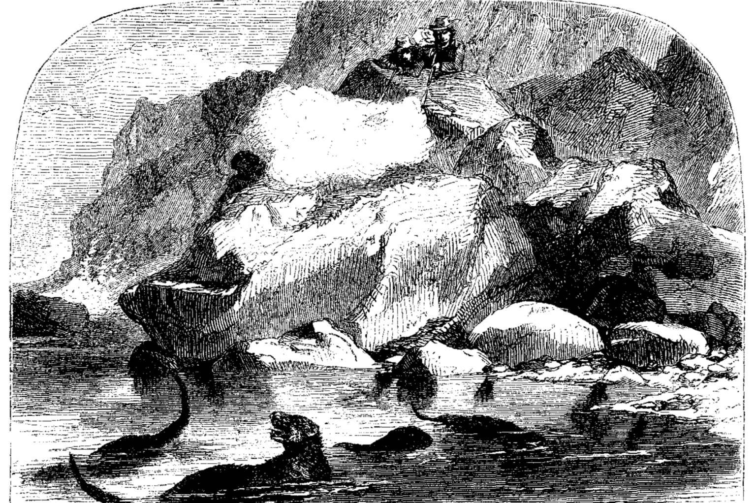 Destruction: The Maritime Fur Trade - Elakha Alliance