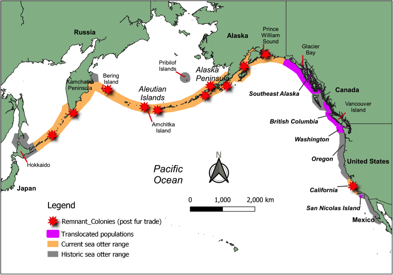 Chapter 2: History of Prior Sea Otter Translocation - Elakha Alliance