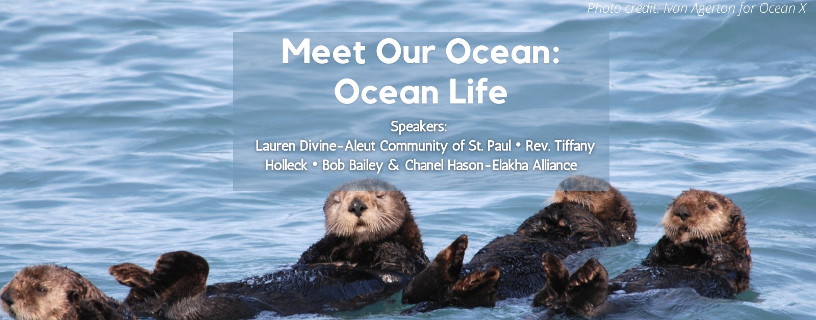 Read more about the article Environment America’s Meet our Ocean: Ocean Life Panel (6/15/22)