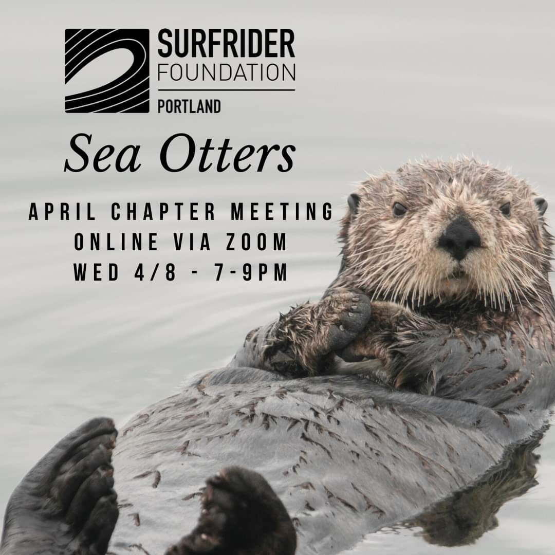 Read more about the article Video: Board President Bob Bailey Gives Sea Otter Talk in Gold Beach