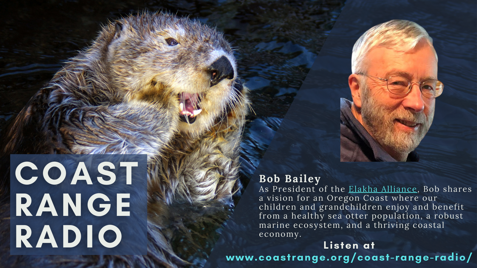 Read more about the article Coast Range Radio Podcast with Bob Bailey