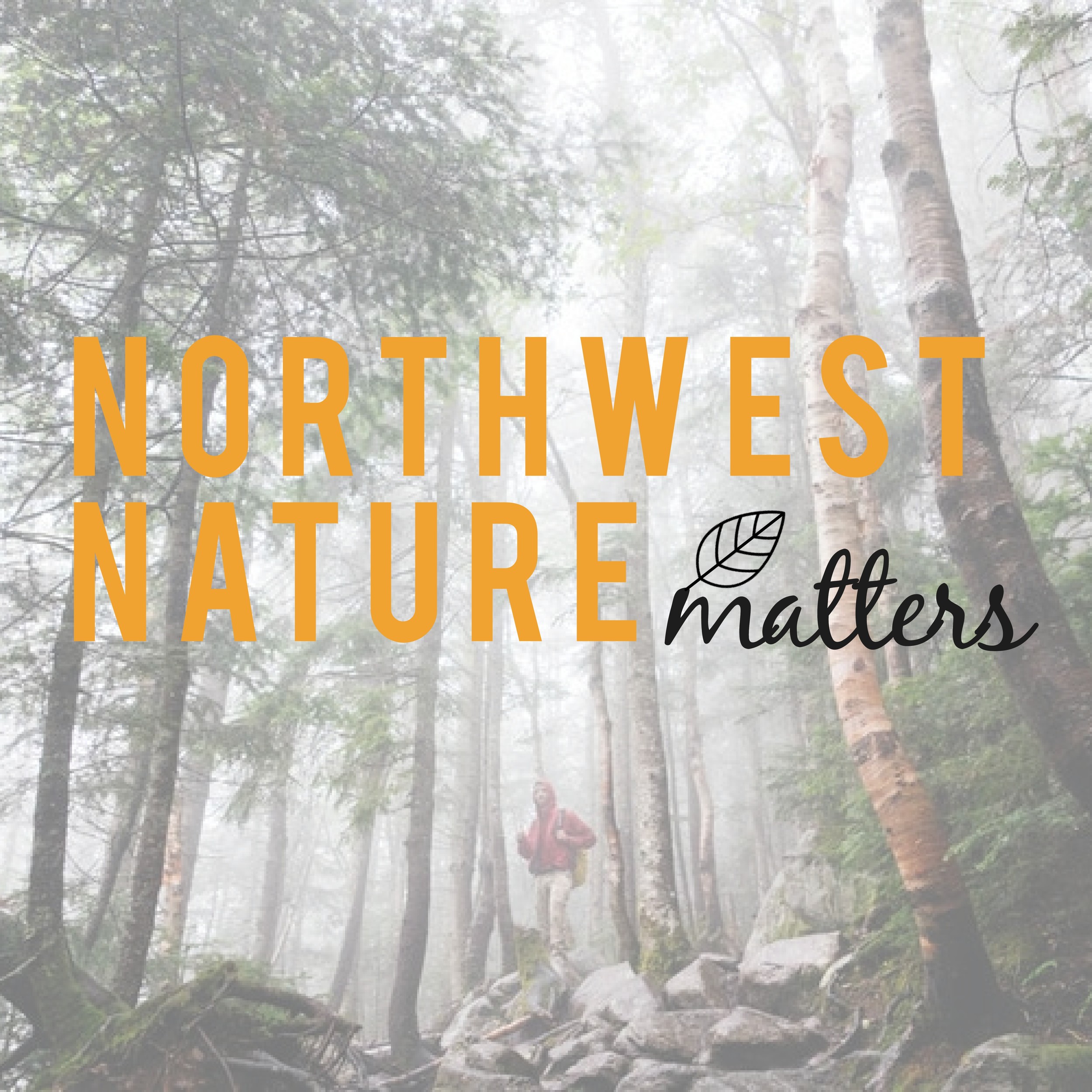 Read more about the article Elakha Alliance Launches New Podcast Series with Northwest Nature Matters