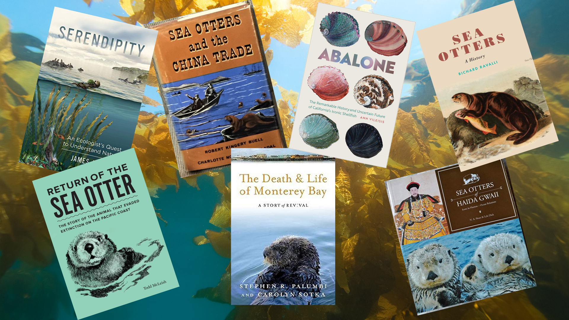 Read more about the article Top 7 Sea Otter Book Recommendations