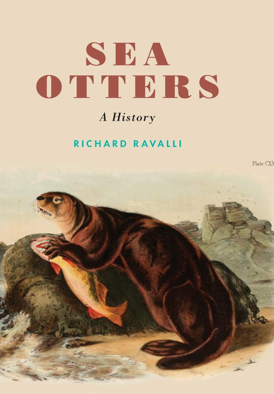 SeaOttersAHistory.BookCover.
