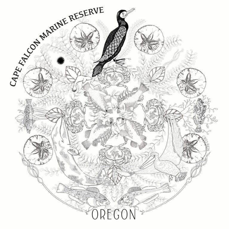 Friends of Cape Falcon Marine Reserve logo