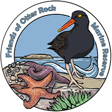 Friends of Otter Rock Marine Reserve logo