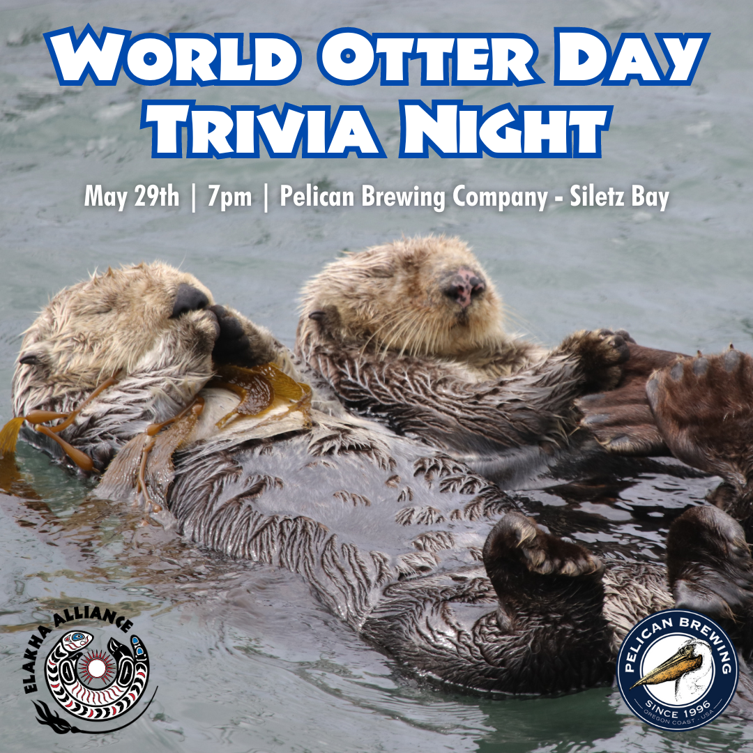 World Otter Day Trivia Night