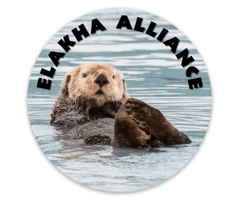 EA Sea Otter Sticker