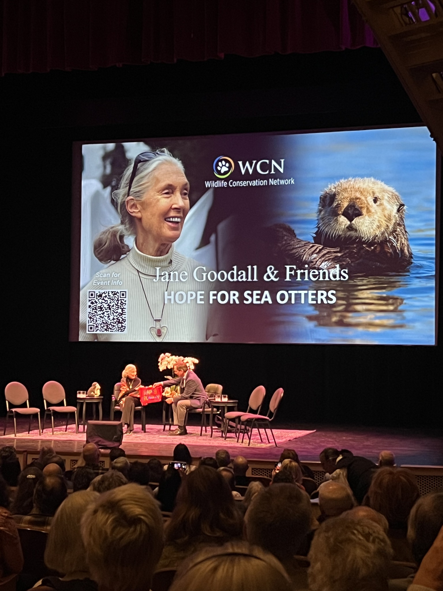 Read more about the article Mourning the Loss of Dr. Jane Goodall, an Advocate for Wildlife and the Planet