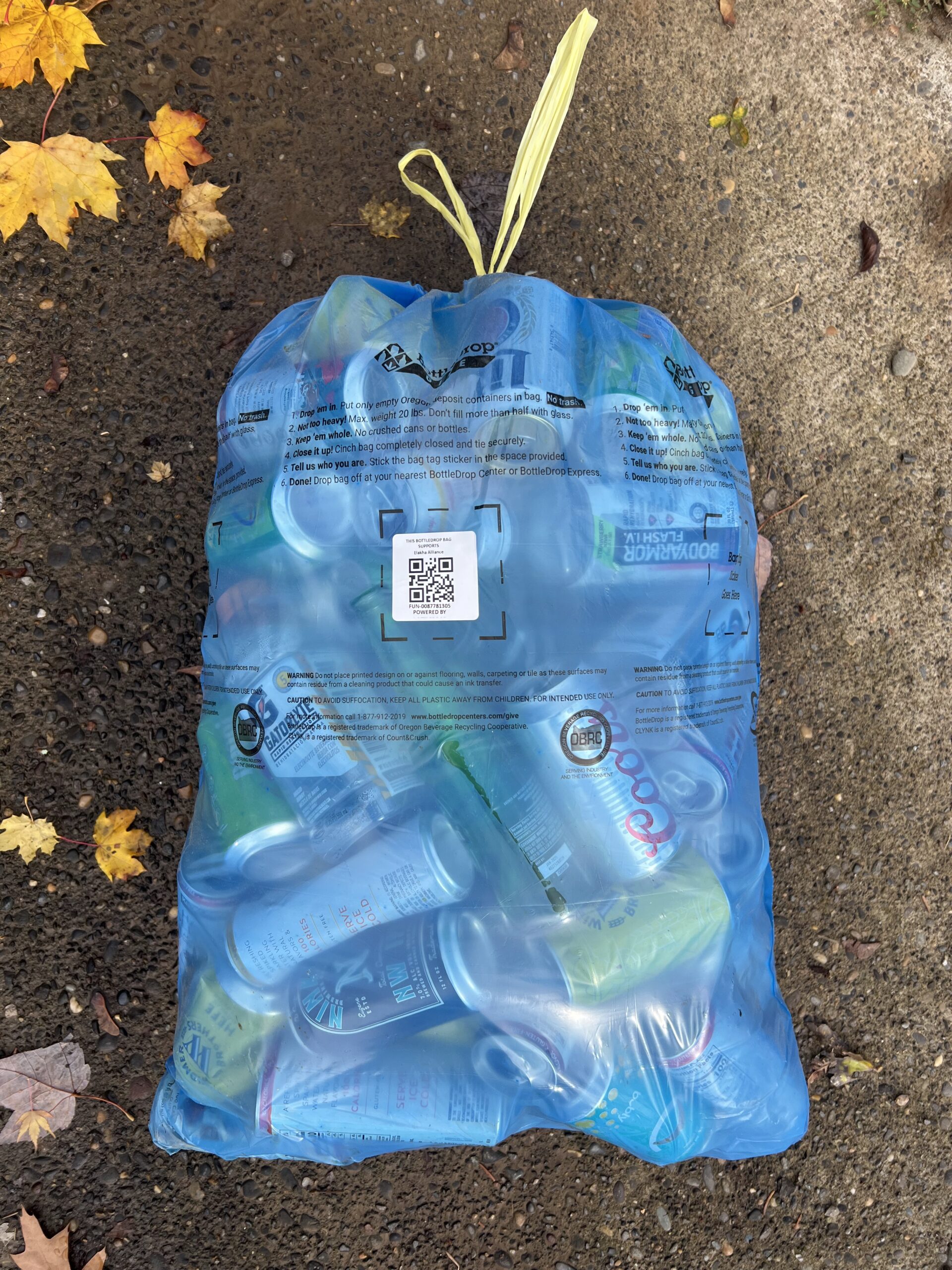 Read more about the article Support Sea Otter Conservation by Recycling